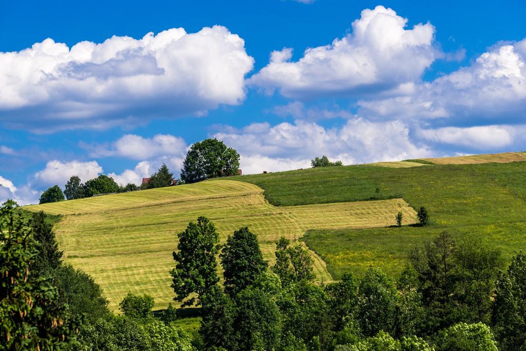 Chata Na Brzysku Pod Bialka Lesnica  Bagian luar foto
